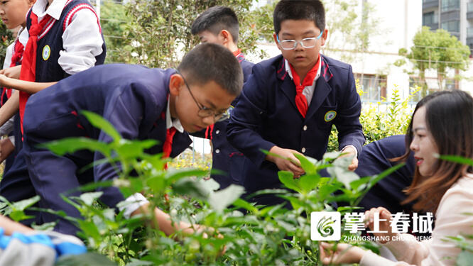 中小学劳动课乡村小学也要上吗,农村小学劳动课
