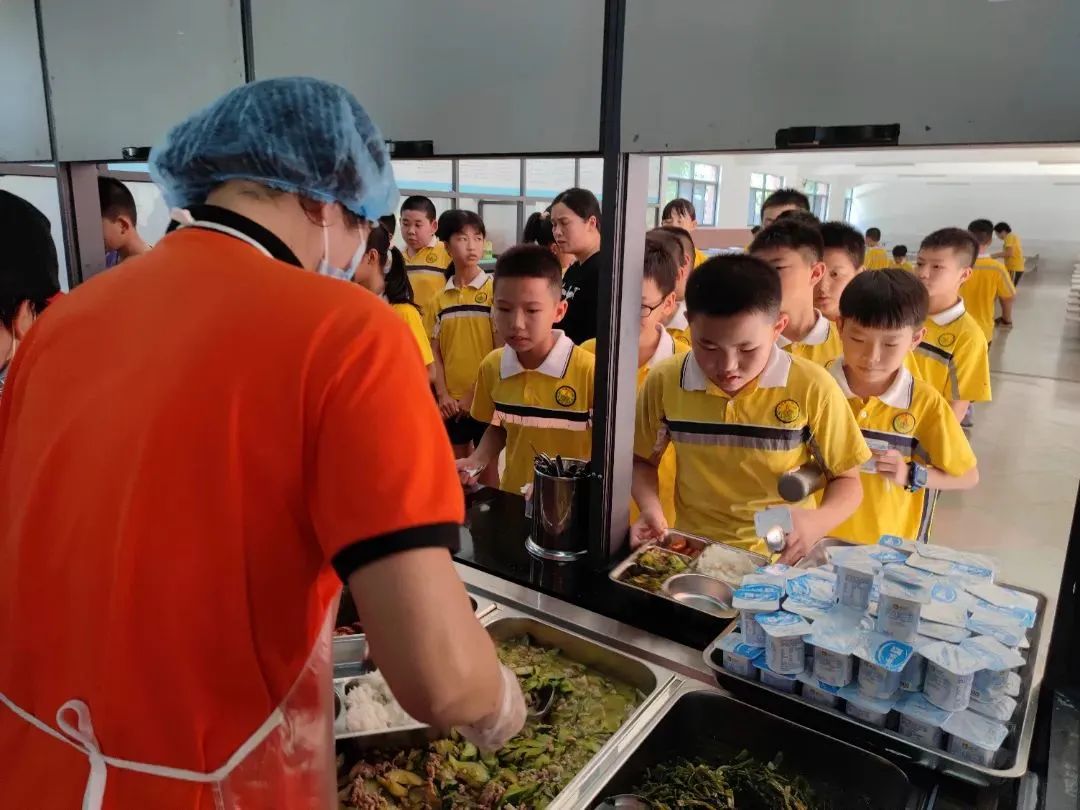 喜讯我校再获一项省级荣誉称号,我市6所学校获国家级表彰