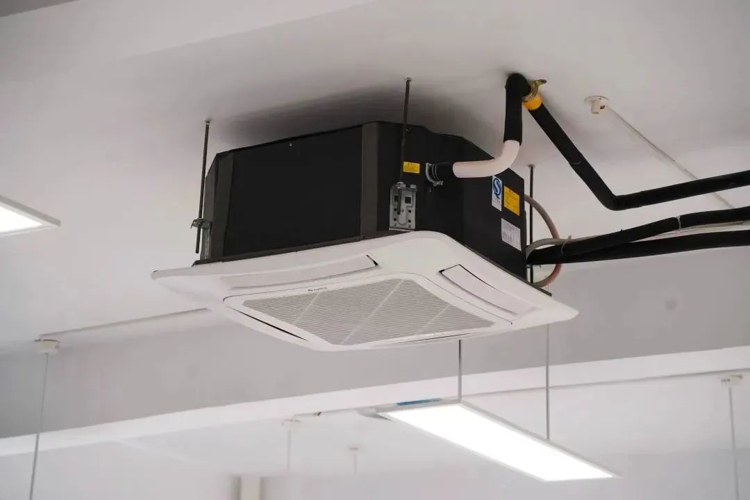 喜讯我校再获一项省级荣誉称号,我市6所学校获国家级表彰