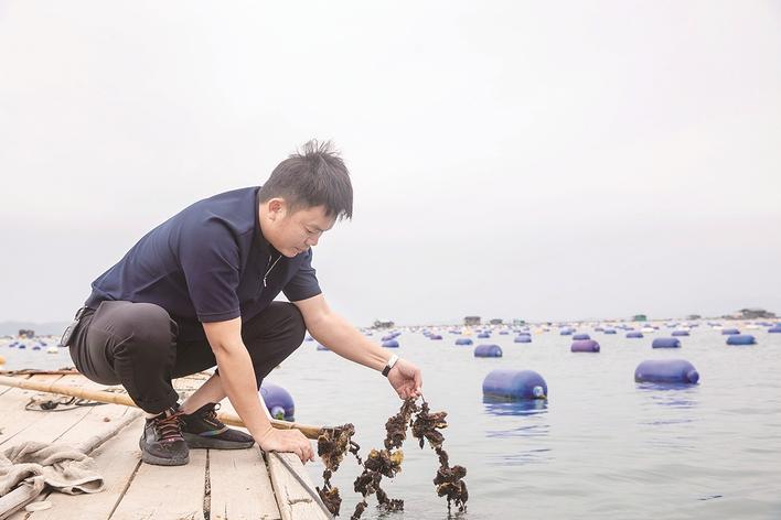 漳州“90后”青年-“蚝”情壮志一路领“鲜”