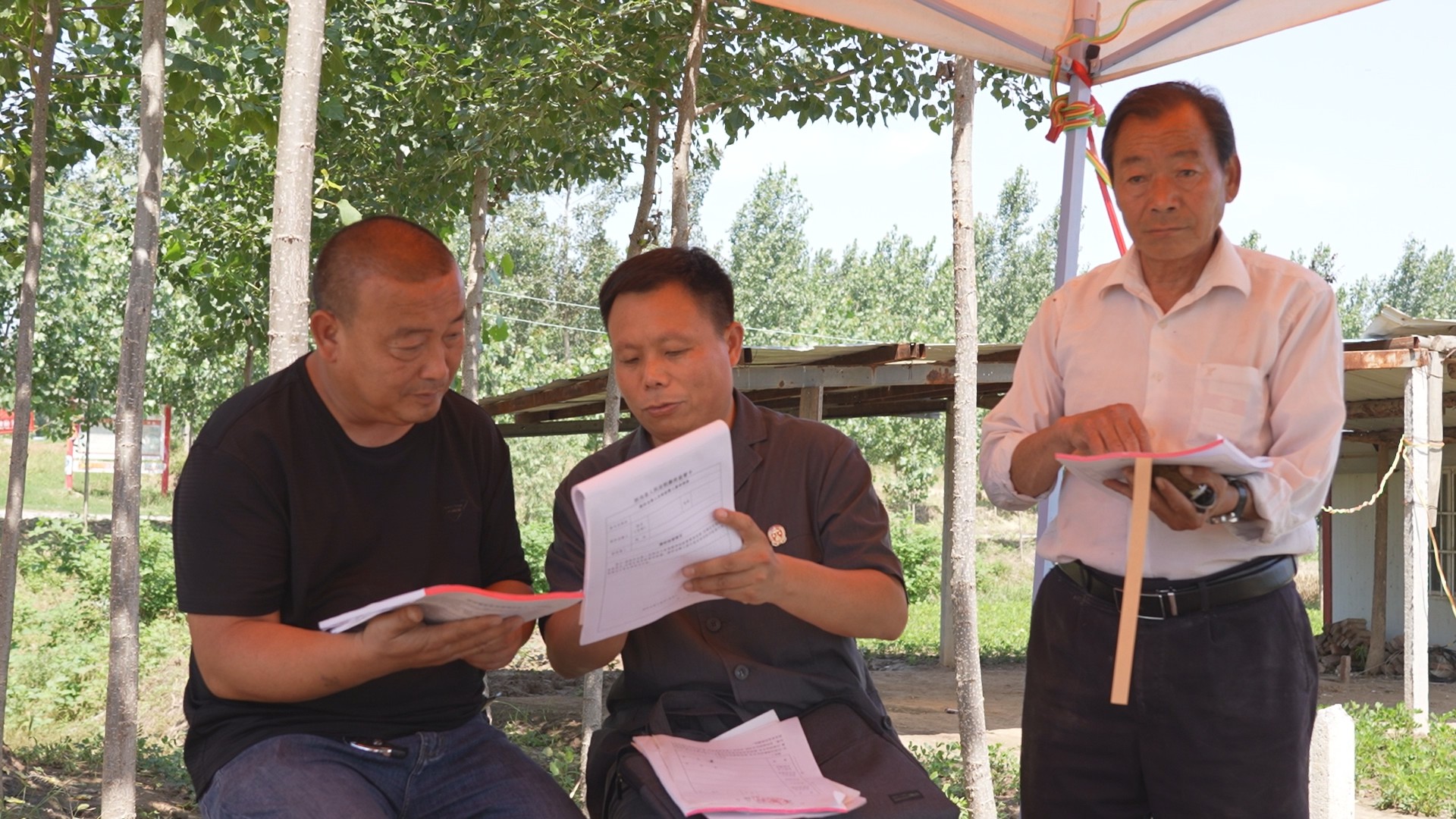 党员先锋做表率为民服务显作为,党员干部要做讲奉献有作为的表率