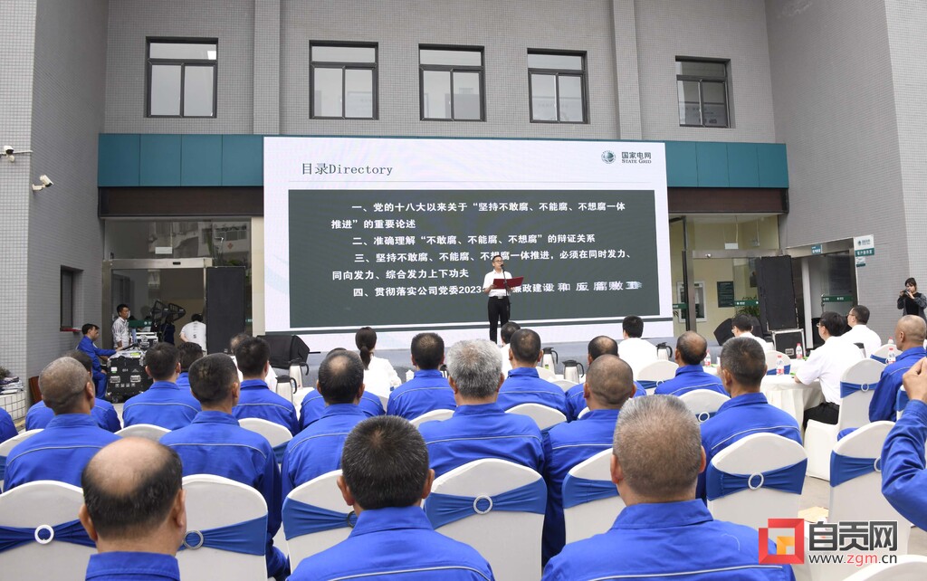 渚涚數鍏徃宸ュ尃绮剧浼犳壙,鍏变績涔℃潙鎸叴鍥界綉鑷础渚涚數鍏徃