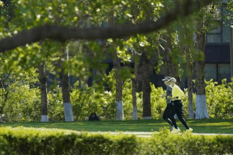追光|夏至日，请查收这份有听有看有知识的夏日运动宝典