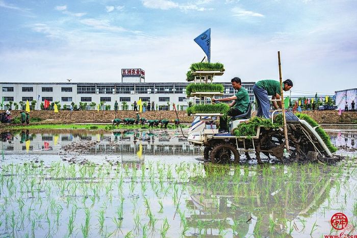 切实守住耕地红线和粮食安全底线,如何严守耕地粮食两条红线的建议
