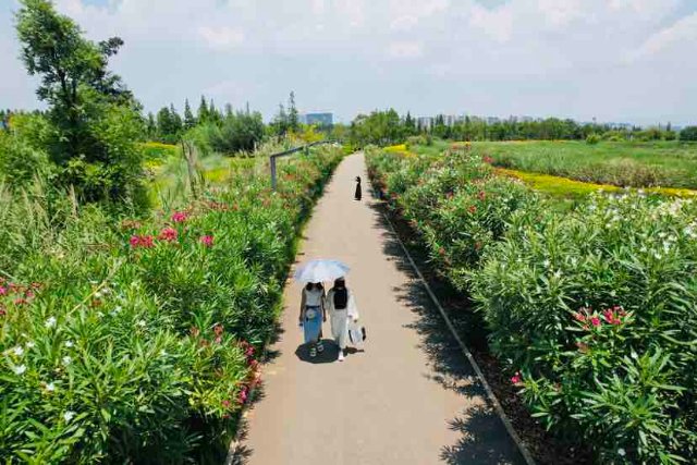 在云南有一种旅行叫做风景在路上,昆明适合一个人静静的小众打卡地