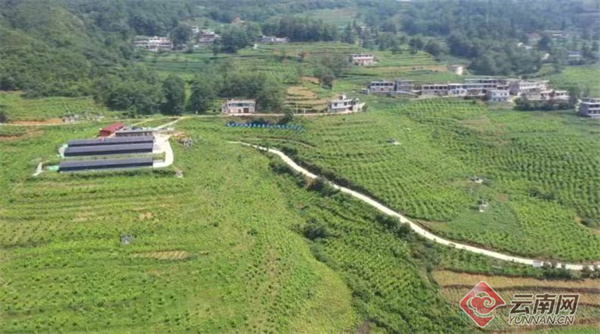 昭通镇雄县：“致富丝”编织农家“幸福梦”