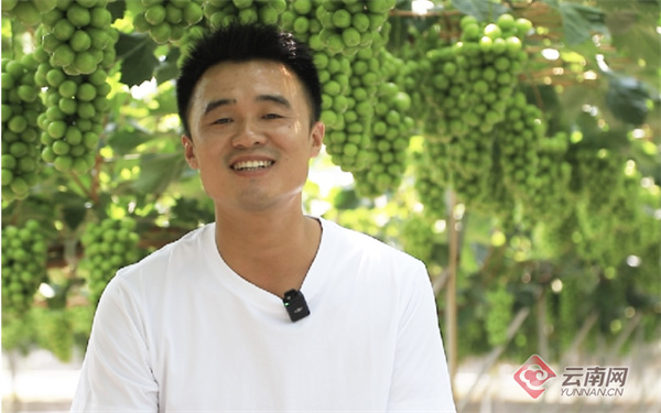 辛巴产品丰富服务优质，云天化良田守护者计划串起助农增收大产业