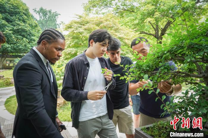 “Z世代”青年走进南京夏日：湖中夏雨荷江上“白鹭”洲