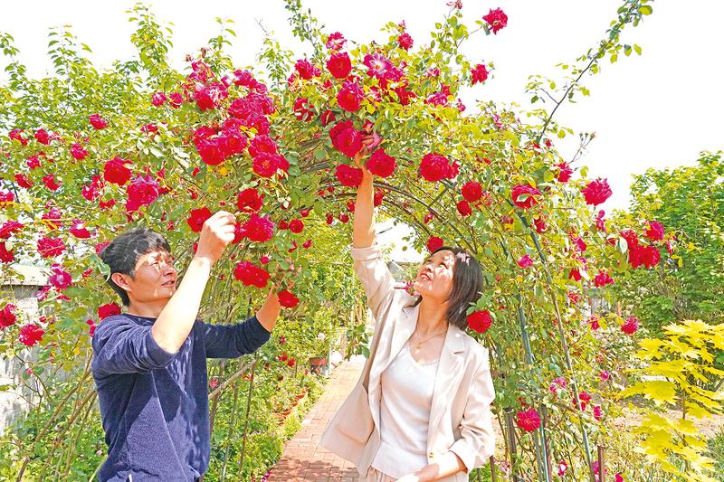 正阳：“小庭院”成增收“聚宝盆”