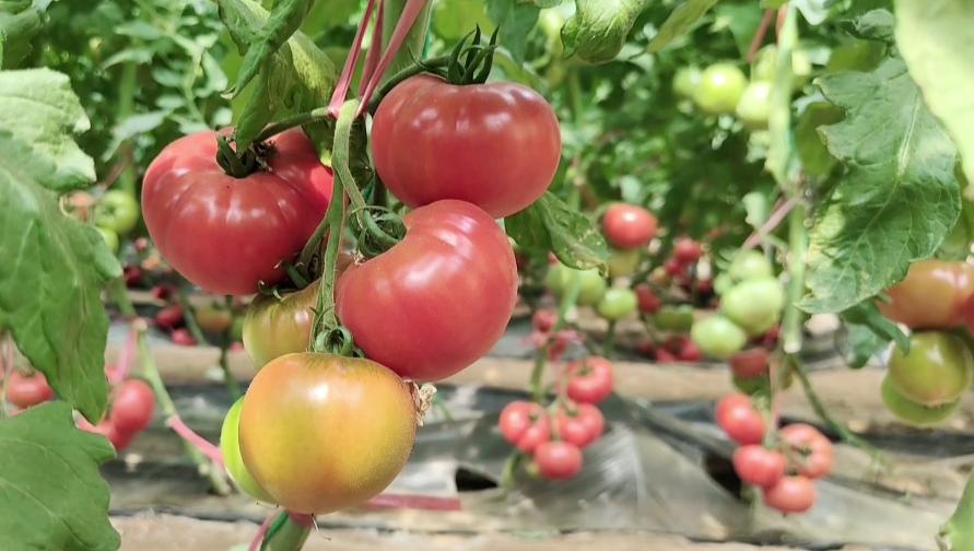 为“更好潍坊”建好质量“底座”