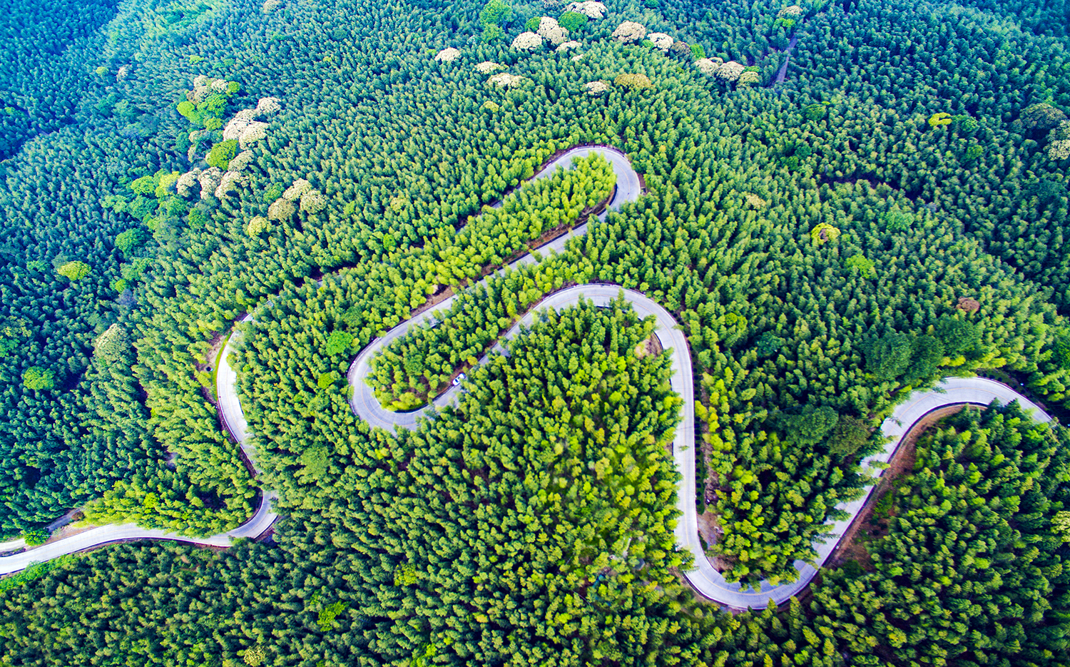 *党**报记者八闽调研行丨拔节生长,永安竹业蓄能勃发