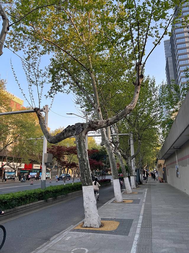 2023.04南京5日闲