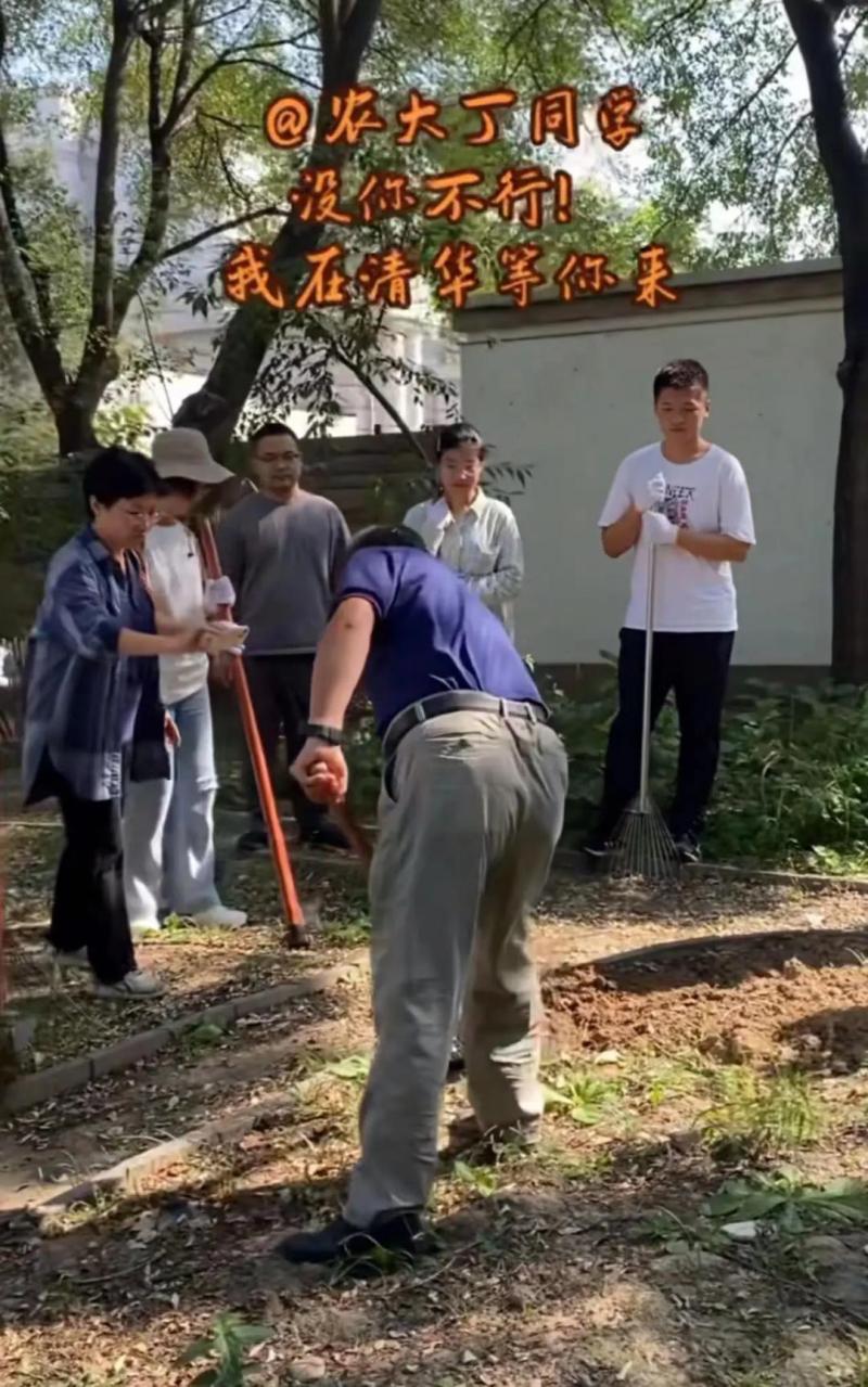 “番石榴、芒果、荔枝……吃不完，根本吃不完”，云南农大招生短视频又火了