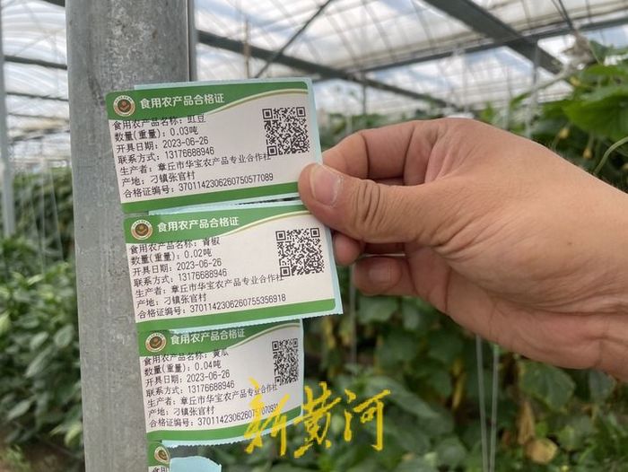 85后大学生回家种地年收入1800万,浙江95后女生辞工作种田年赚75万