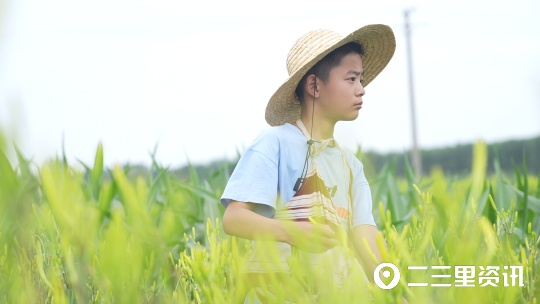 【创业100】黄花菜大产业，大荔黄花集团总经理：力争销售破亿元