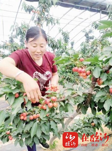 蹲点日记丨山里有支女子农技“特攻队”