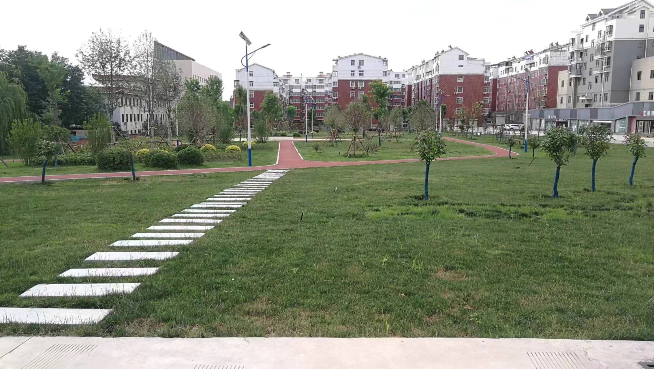 石龙区全面推进城市提质让群众幸福感“提档升级”