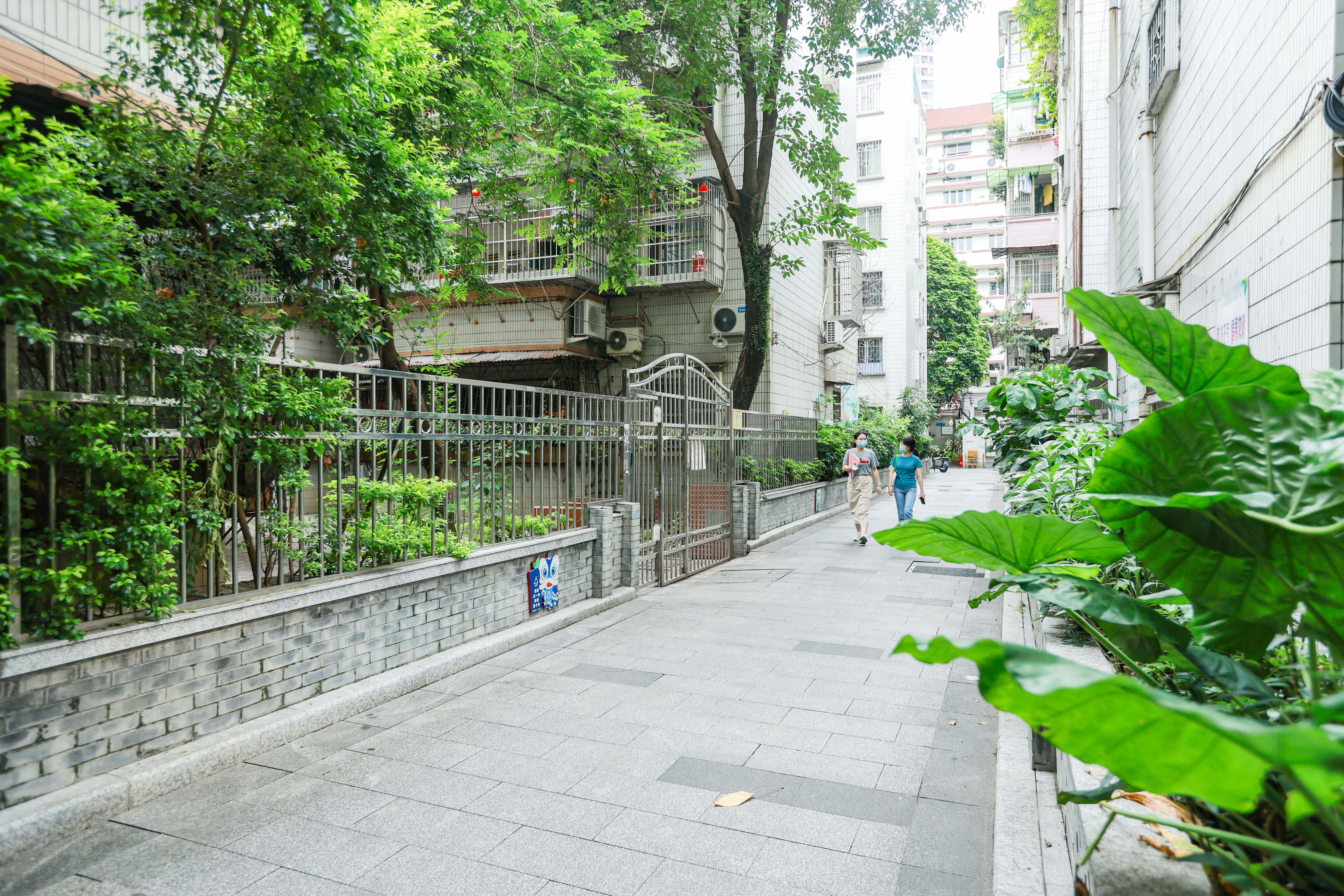 管理变服务，越秀无物管小区有了“区域大管家”