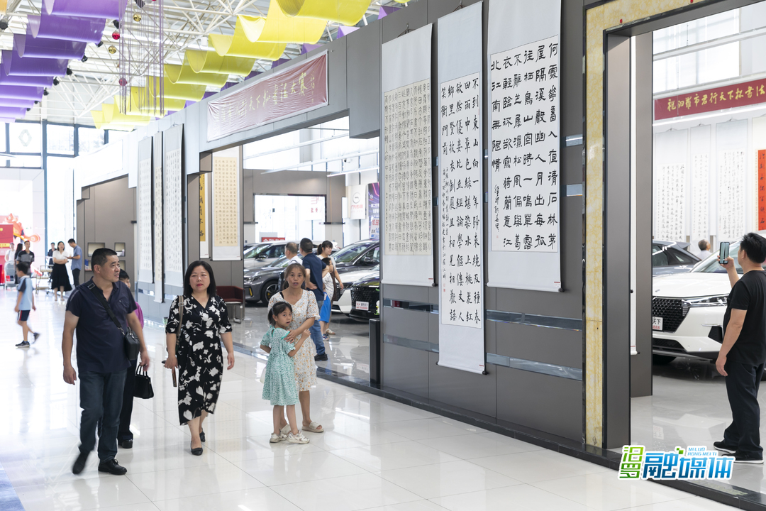 汨罗书法获奖作品,汨罗市书法比赛展览