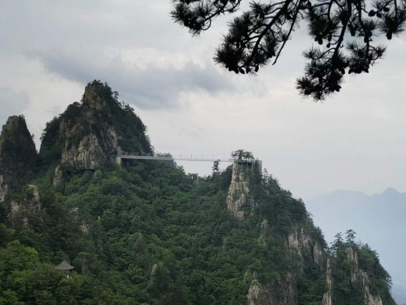 南阳旅游年票2024年,南阳如何办旅游年票卡免费
