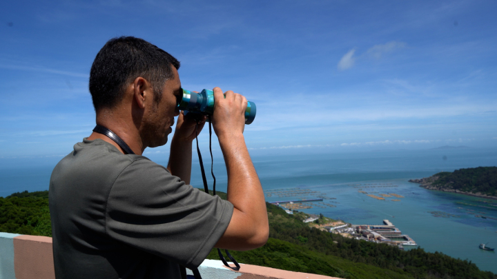 南麂岛工作,浙江南麂岛真实现状