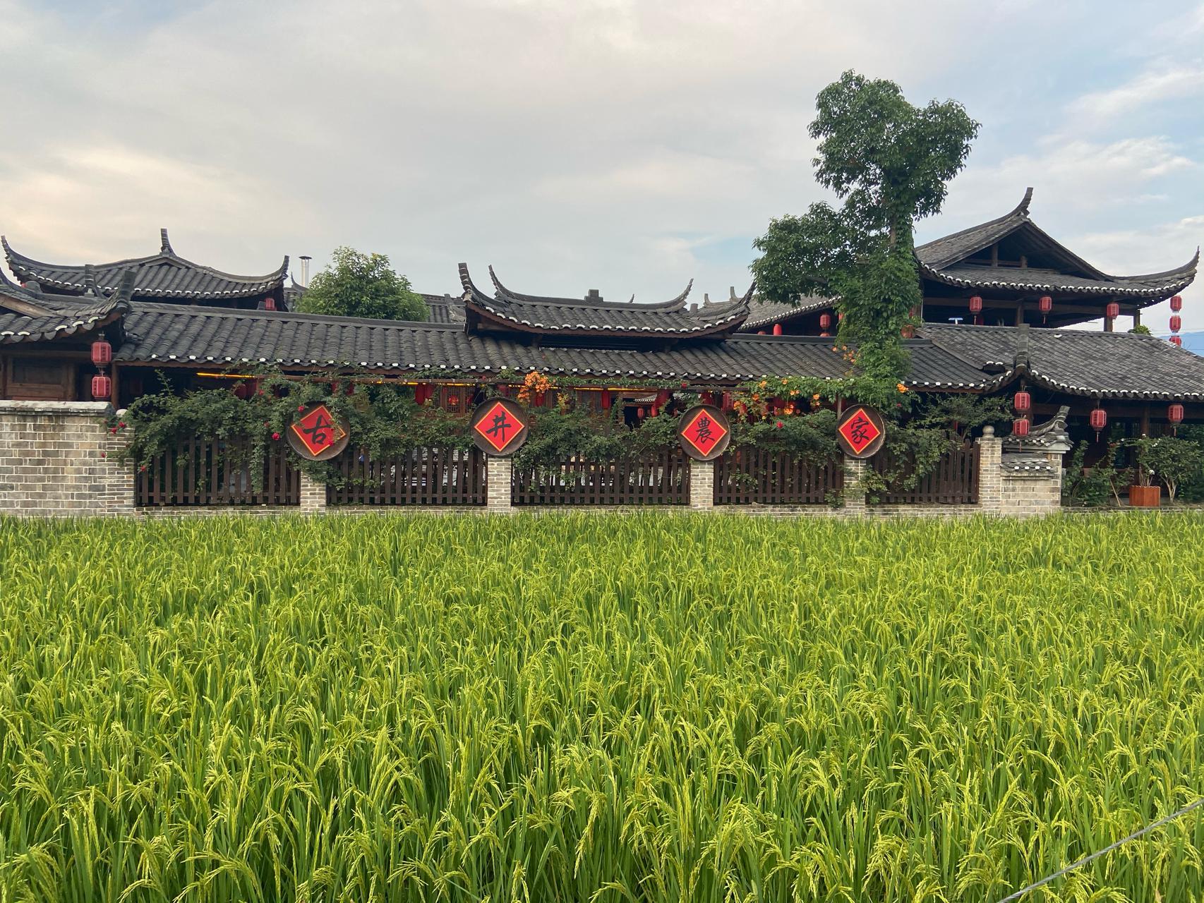 南方葡萄沟如何找准C位?文旅大咖中方县献策