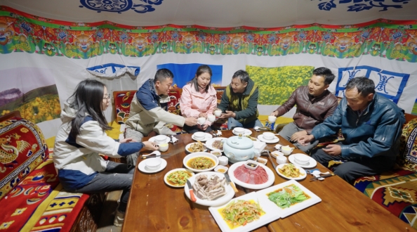 世界雪豹保护日,世界雪豹分布的国家数量