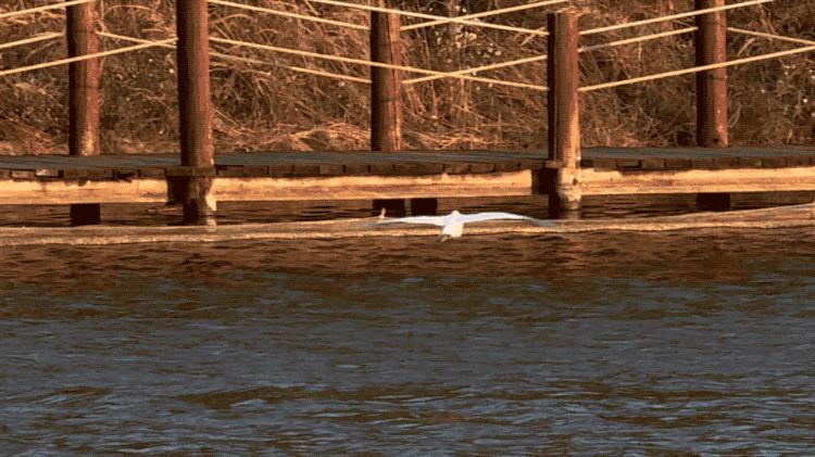 iphone15promax5倍长焦摄影技巧,5倍长焦拍人像