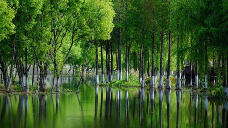 万千气象看云南丨洱源：问渠那得清如许