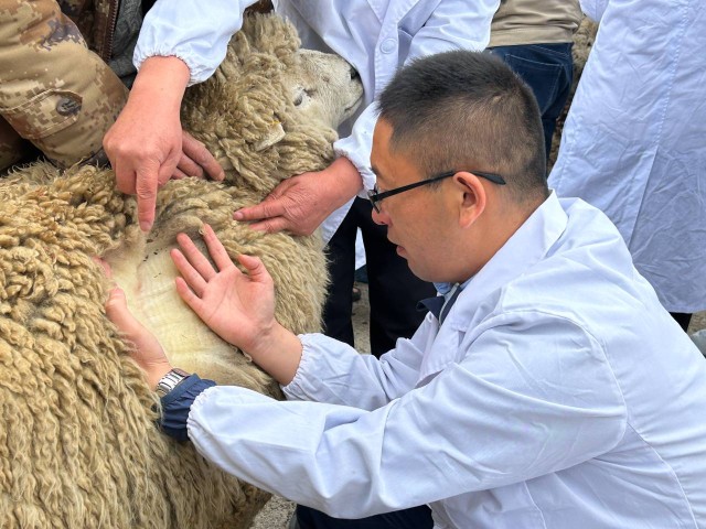 新春走基层乡村旅游让日子更红火,新春走基层扶贫致富