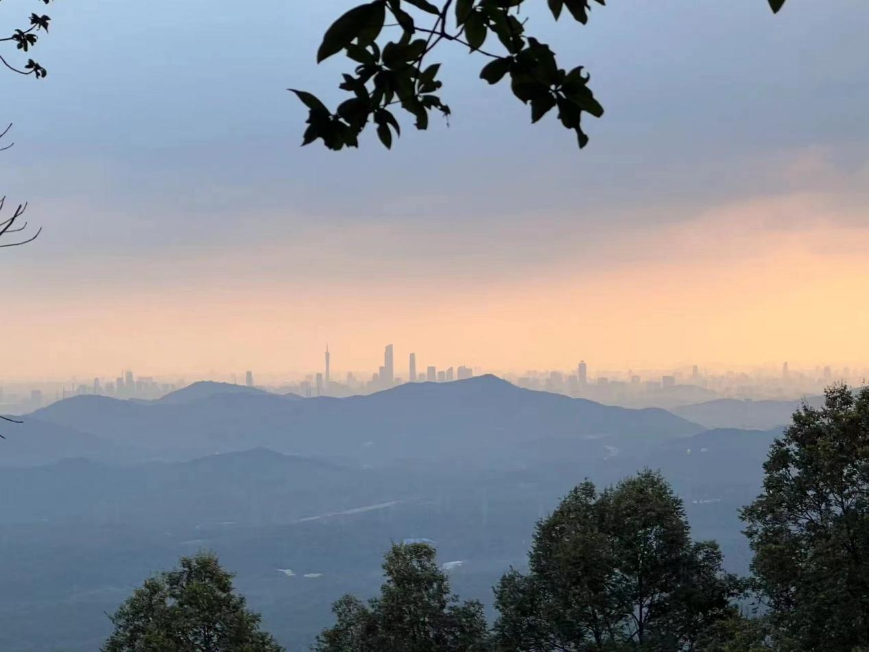 帽峰山森林公园加盟主办第三届广东“乡村振兴故事征文大赛”