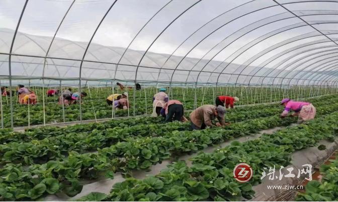 曲靖民族团结进步示范区创建会议,曲靖市创建民族团结示范市的载体