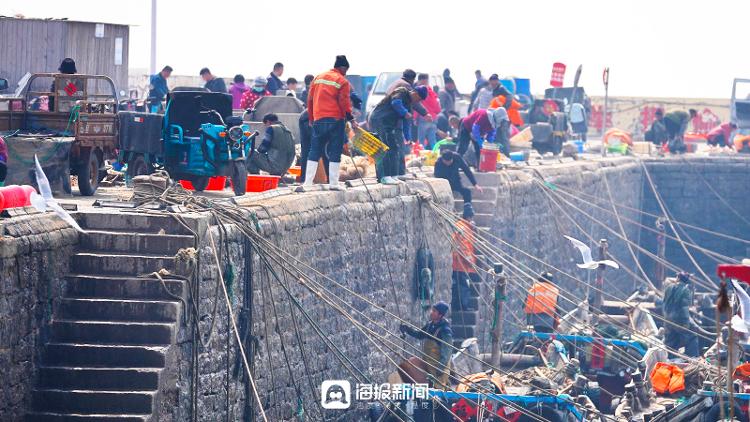 2023日照港海鲜最新报价,日照港海鲜最新价格今天