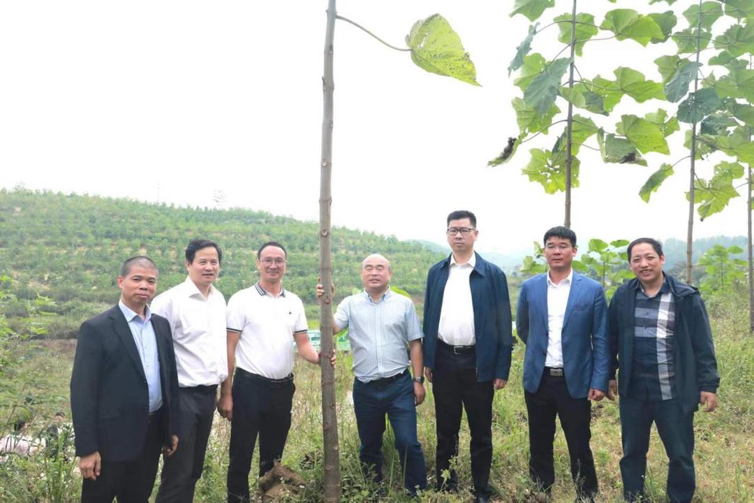 一片赤诚为乡亲,新田挂职副县长