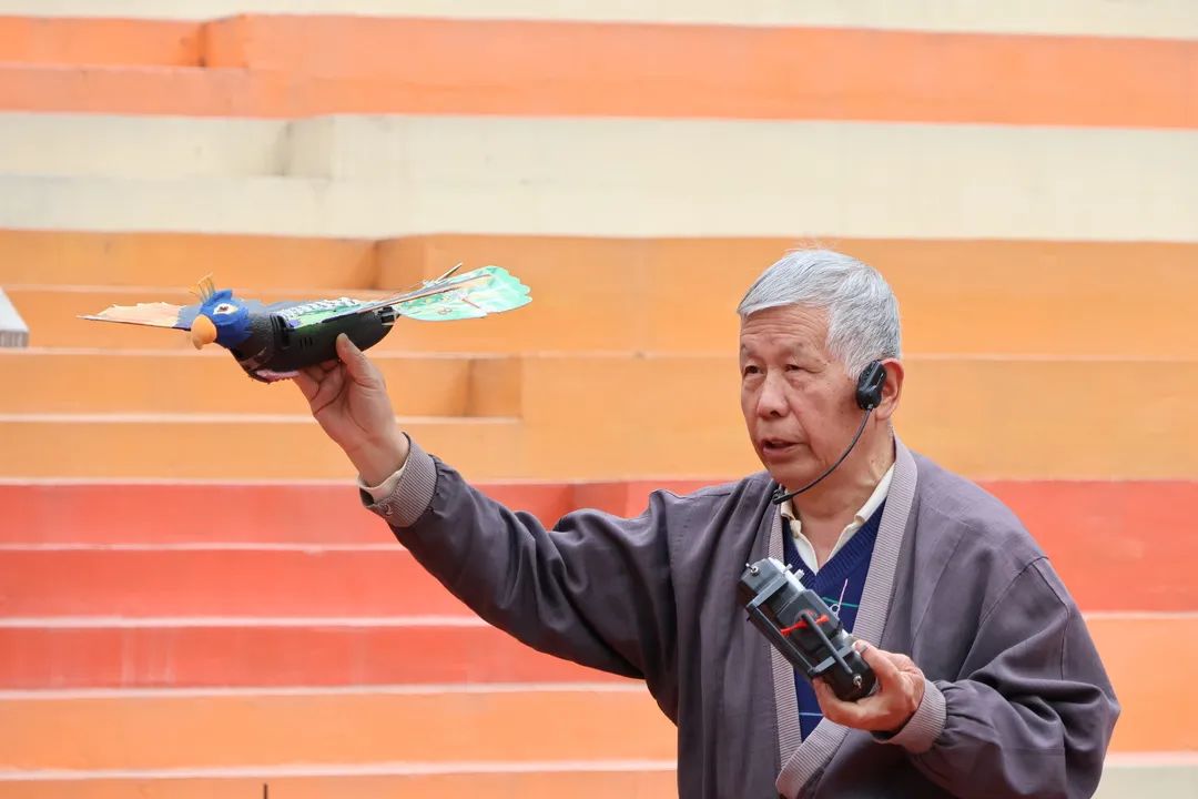 科技之春宣传月,小学科技之春宣传月