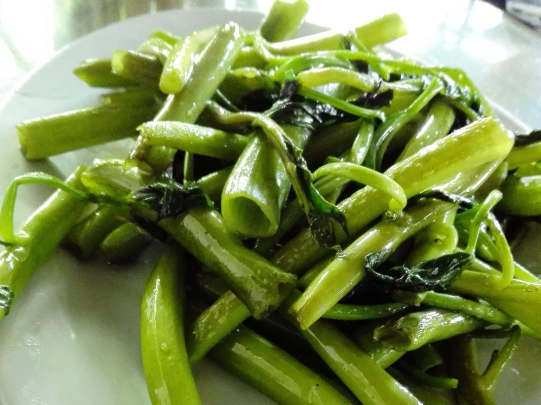 醉美东方园林游记,醉美东方城