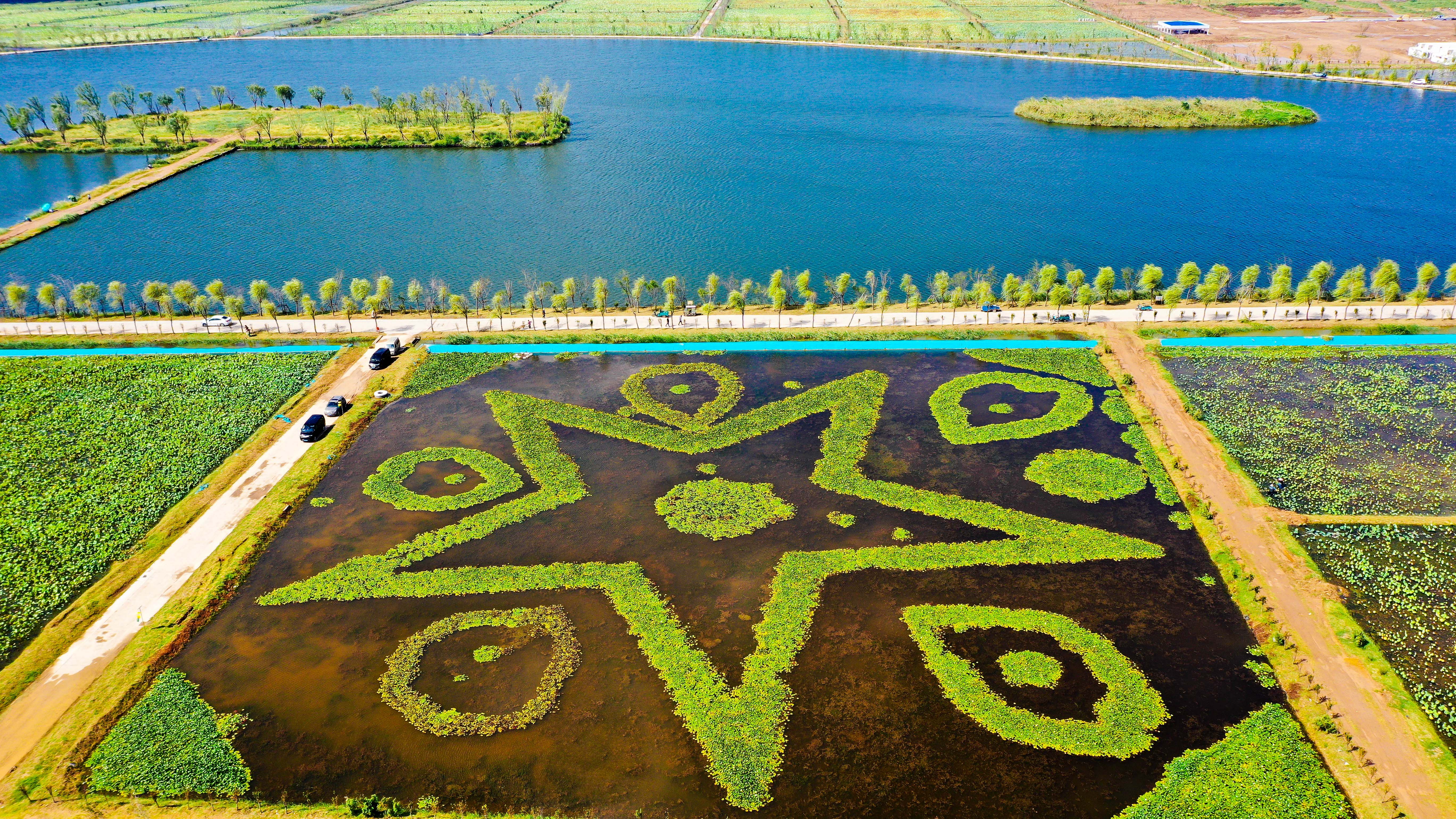 山东郓城采煤塌陷地变身聚宝盆,郓城县郭屯镇煤矿塌陷区最新规划