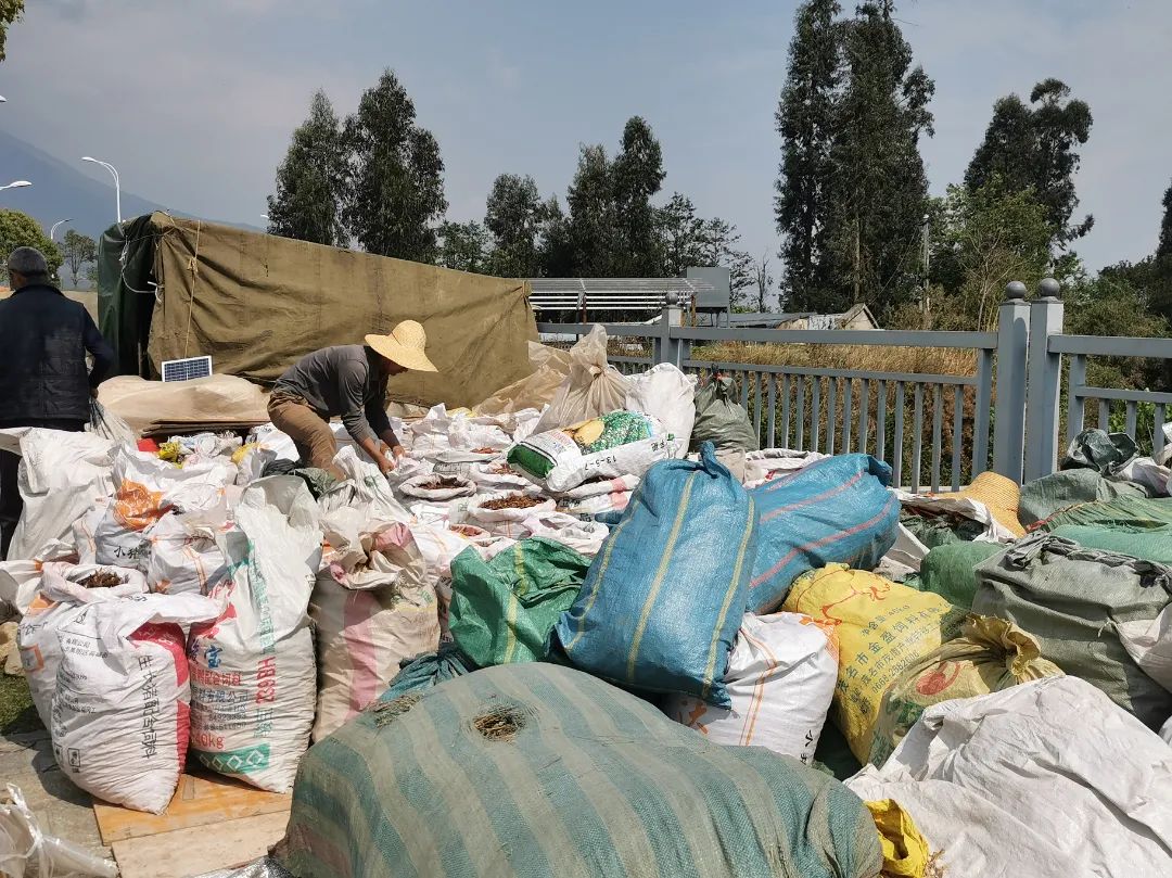 大理三月街药材批发,大理三月街药材市场2019